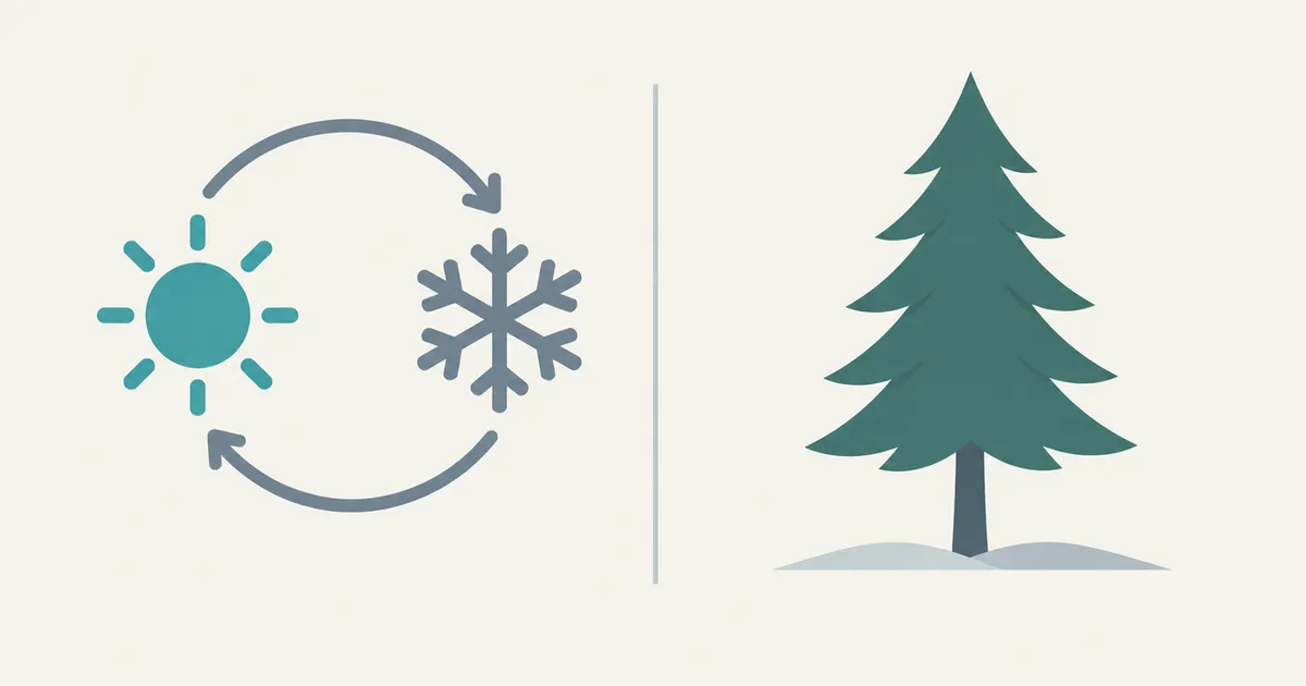 Seasonal vs Evergreen Products: Know Before You Stock